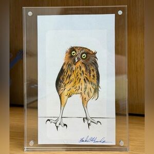 The Buffy Fish Owl - Signed Original Bird Art